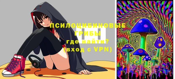 ешки Арсеньев
