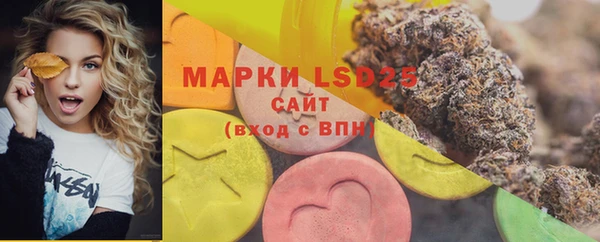 спайс Аркадак