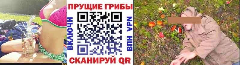 Галлюциногенные грибы MAGIC MUSHROOMS  дарнет шоп  blacksprut ТОР  Палласовка 